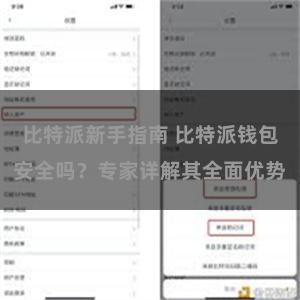 比特派新手指南 比特派钱包安全吗？专家详解其全面优势