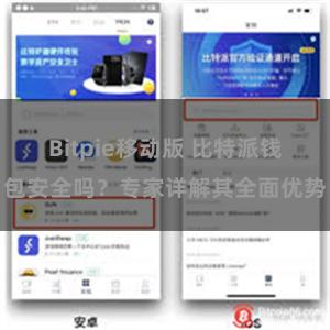 Bitpie移动版 比特派钱包安全吗？专家详解其全面优势