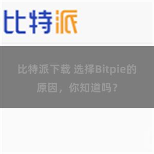 比特派下载 选择Bitpie的原因，你知道吗？