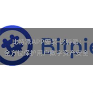 比特派APP安装 比特派：全方位保护用户数字资产安全