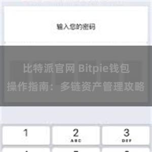 比特派官网 Bitpie钱包操作指南：多链资产管理攻略