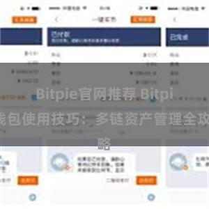 Bitpie官网推荐 Bitpie钱包使用技巧：多链资产管理全攻略