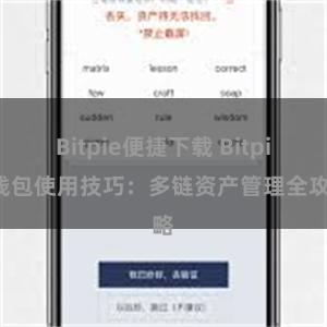 Bitpie便捷下载 Bitpie钱包使用技巧：多链资产管理全攻略