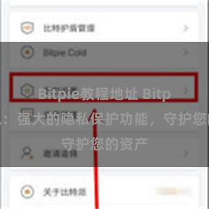 Bitpie教程地址 Bitpie钱包：强大的隐私保护功能，守护您的资产