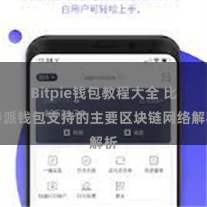 Bitpie钱包教程大全 比特派钱包支持的主要区块链网络解析