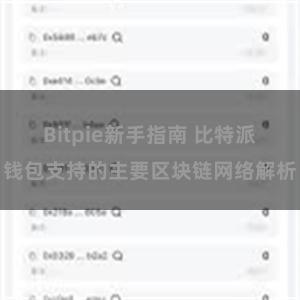 Bitpie新手指南 比特派钱包支持的主要区块链网络解析