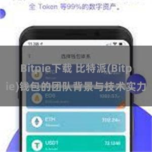 Bitpie下载 比特派(Bitpie)钱包的团队背景与技术实力