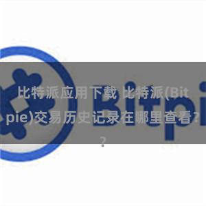 比特派应用下载 比特派(Bitpie)交易历史记录在哪里查看？