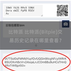 比特派 比特派(Bitpie)交易历史记录在哪里查看？