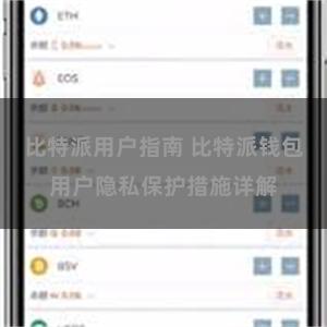 比特派用户指南 比特派钱包用户隐私保护措施详解